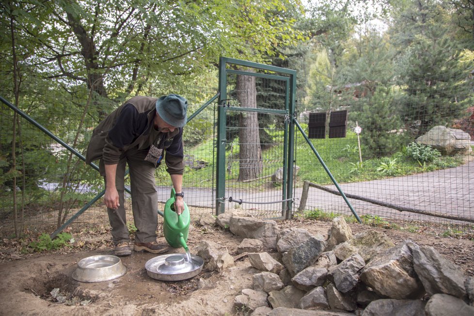 Ošetřovatelkou v zoo na vlastní kůži.