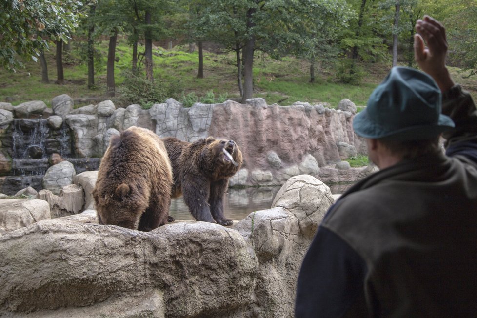 Ošetřovatelkou v zoo na vlastní kůži.