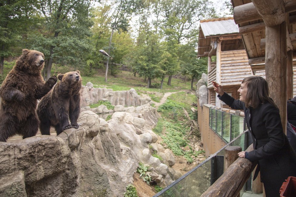 Ošetřovatelkou v zoo na vlastní kůži. Potravu chytali medvědi přímo do tlamy.