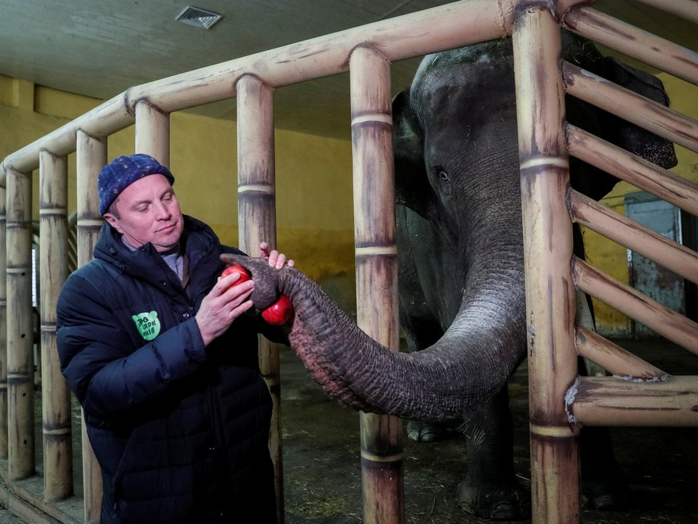 Ředitel Zoologické zahrady v Kyjevě Cyril Trantin (49).