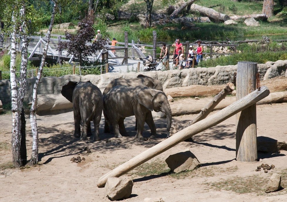 Zoologická zahrada Lešná u Zlína je rozdělená podle světadílů. Jde o druhou nejnavštěvovanější ZOO v Čechách (po Praze).