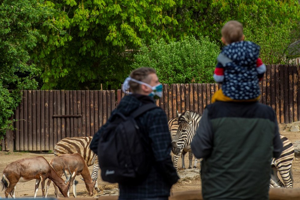 Po sedmi týdnech se otevřela pro návštěvníky Zoologická zahrada v Liberci (30. 4. 2020).