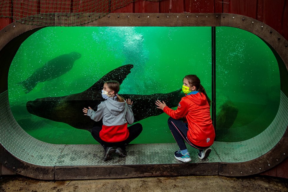 Po sedmi týdnech se otevřela pro návštěvníky Zoologická zahrada v Liberci. (30. 4. 2020)