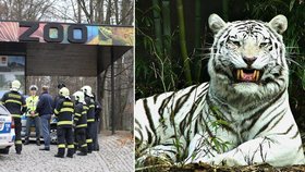 Zoo Liberec: Nejstarší zahrada Česka v Evropě vede v chovu ptáků