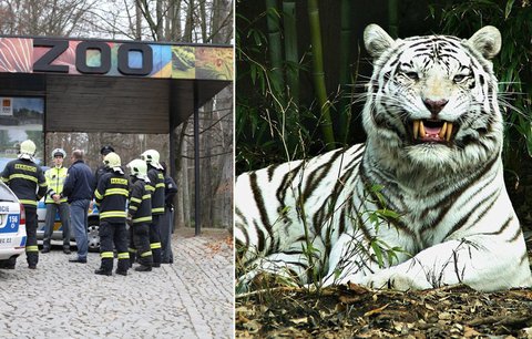 Zoo Liberec: Nejstarší zahrada Česka v Evropě vede v chovu ptáků