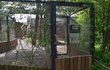 Brněnská zoo otevírá novou expozici se zvířaty žijícími na jižní Moravě.