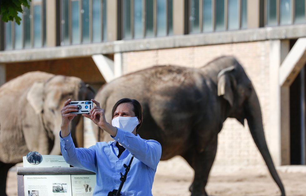 I v Německu již otevřely zoo (28.4.2020)