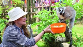 Vyzkoušeli jsme za vás: Jaké je to být na den ošetřovatelkou v zoo? 