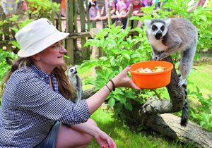 Vyzkoušeli jsme za vás: Jaké je to být na den ošetřovatelkou v zoo? 