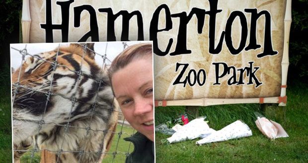 Zoo rozhodla, co bude s tygrem, který zabil ošetřovatelku. Jak zvíře skončí?
