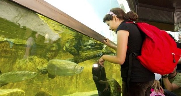 V ostravské zoo mají nové živočichy