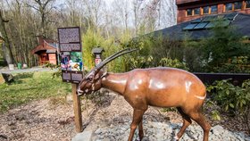 Zoo Ostrava překvapila. Modely v nadživotní velikosti, kostry i sošky vyrobili zaměstnanci.