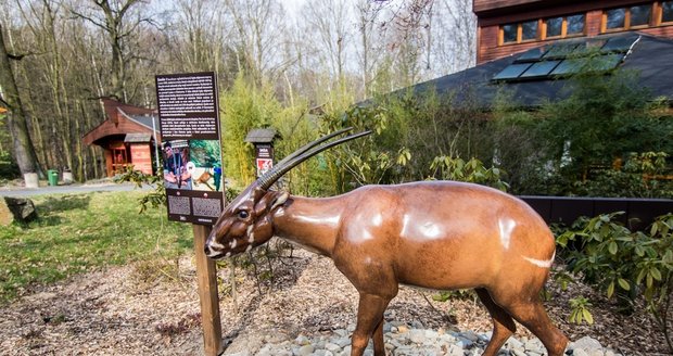 Zoo Ostrava překvapila. Modely v nadživotní velikosti, kostry i sošky vyrobili zaměstnanci.