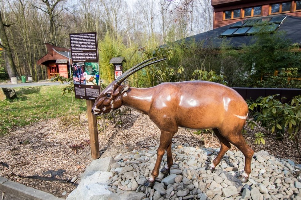 Zoo Ostrava překvapila. Modely v nadživotní velikosti, kostry i sošky vyrobili zaměstnanci.