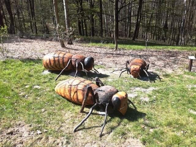 Zoo Ostrava překvapila. Modely v nadživotní velikosti, kostry i sošky vyrobili zaměstnanci.