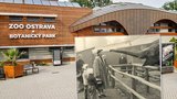 Zoo Ostrava slaví 70 let: Začínala jako koutek se srncem a bažanty