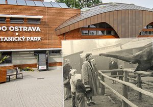 Zoo Ostrava slaví 70 let. Začínala jako koutek se srncem a bažanty, nyní je druhou největší zahradou u nás.