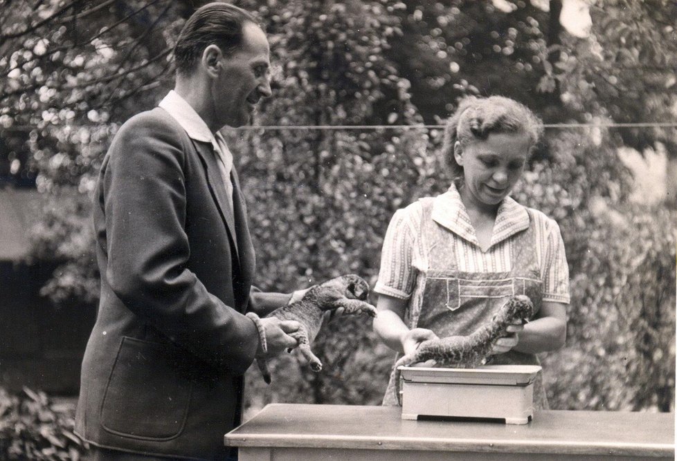 První ředitel zoo Bohumil Vítek s manželkou.