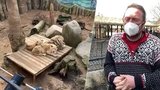 Zoo Plasy vypnuli plyn: Několik zvířat uhynulo, lemuři měli v místnosti -5 stupňů! 