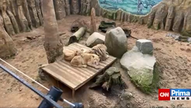 Zoo Plasy byla bez tepla, několik zvířat uhynulo.