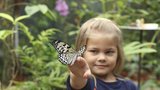 Filipíny v plzeňské zoo: Mezi návštěvníky poletují motýli, vrátili se i krokodýli