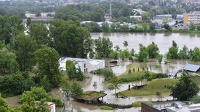 Pohled na zatopený pavilon goril. Richard je svou smečkou v povodňové věži - její tři podlouhlá okna jsou vidět na obrázku. Gorily jsou v tom nejvýše položeném