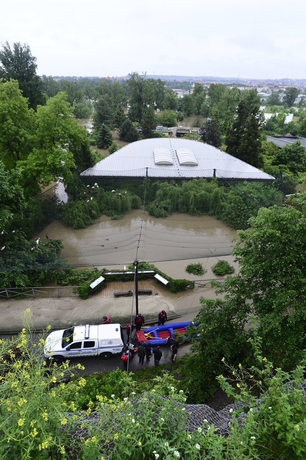 Po spodní části zoo se nyní dá pohybovat pouze na člunu