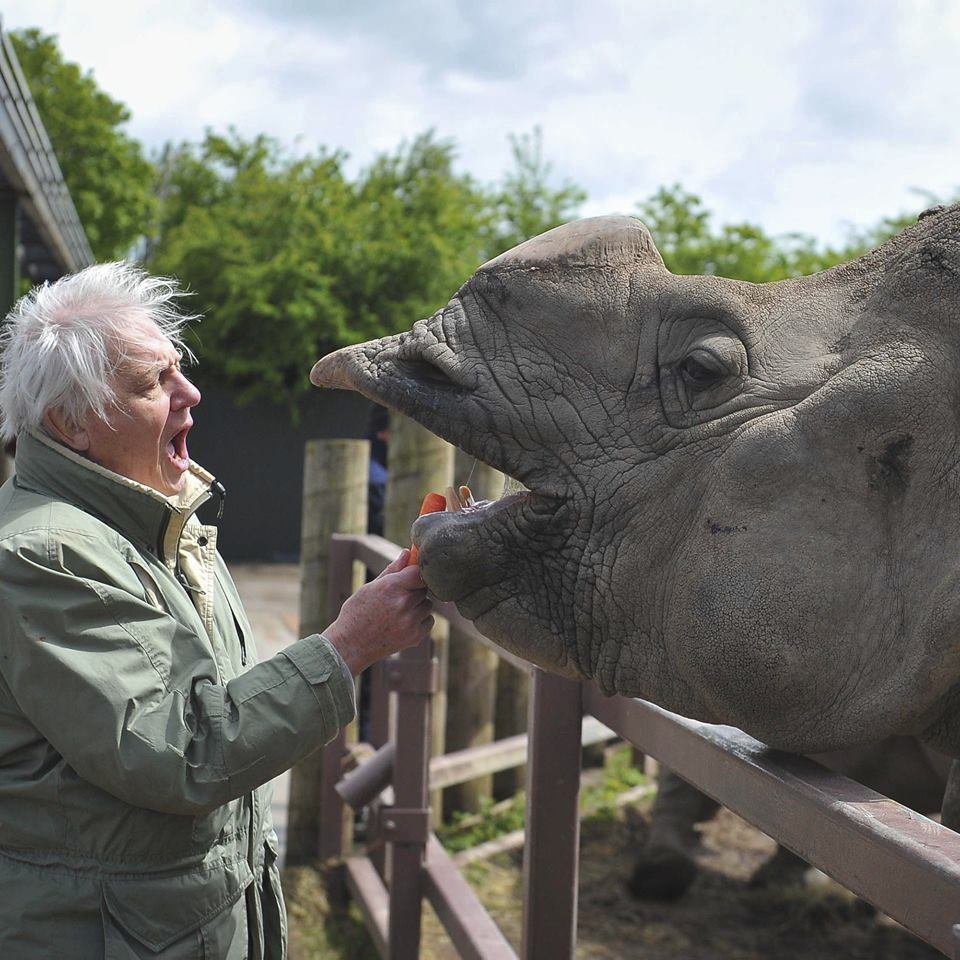 ﻿Při sobotním požáru zoologické zahrady v anglickém Chesteru uhynulo několik zvířat. Nepodařilo se zachránit žáby, ryby a malé druhy ptáků. Oheň zničil také pavilon krokodýlů a opic. Všechny orangutany, gibbony a krokodýly se ale podařilo zachránit.