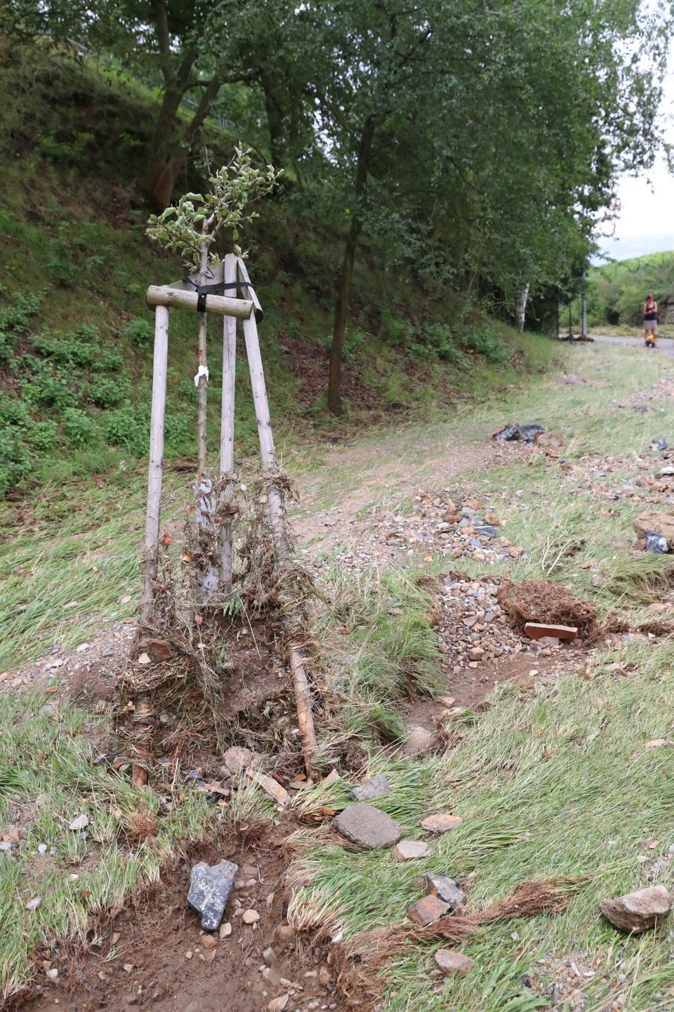 Takovou spoušť napáchala bouřka 14. srpna 2020 v pražské ulici J. Jandy. Foto z 15. srpna.