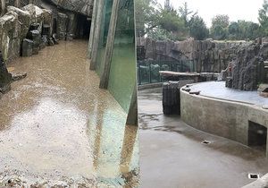 Přívalový déšť zasáhl 14. srpna 2020 i Zoo Praha.