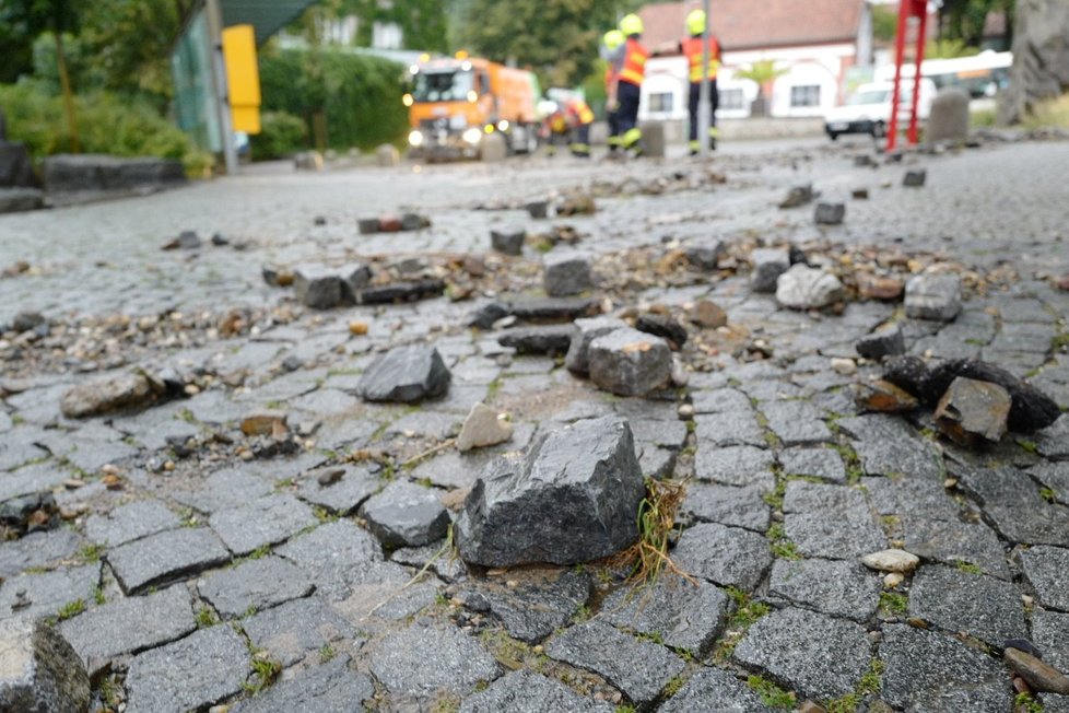 Přívalový déšť zasáhl 14. srpna 2020 i Zoo Praha.