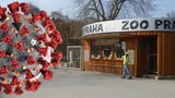 Brány pražské zoologické i botanické zahrady se otevřou ve čtvrtek. Nahlédnout půjde ale jen někam