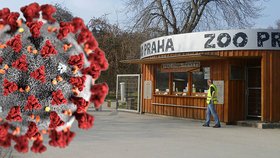 Pražská zoo a Botanická zahrada otevřely brány.