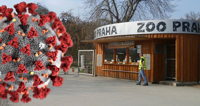Pražská zoo a Botanická zahrada se chystají na otevření