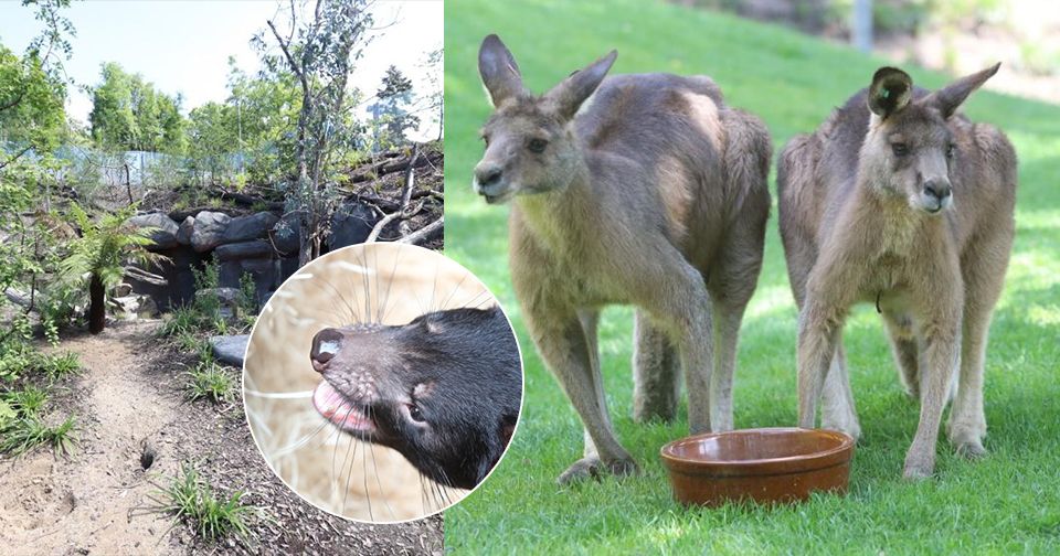 Zoo Praha otevřela novou expozici Darwinův kráter