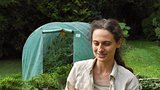 Ze zoo utekla samička fenka, přeskočila sklo výběhu. Prahou rajzovala několik dní
