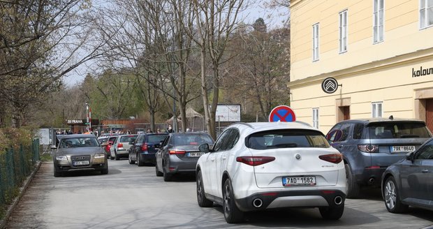 Slunečné počasí přilákalo tisíce lidí do pražské zoologické a botanické zahrady. Zoo dosáhla v jednu chvíli maximální povolené kapacity 4000 návštěvníků v jeden čas, proto musela na pár minut vstup do areálu zastavit, před vchody se tak vytvořily fronty. (24. dubna 2021)