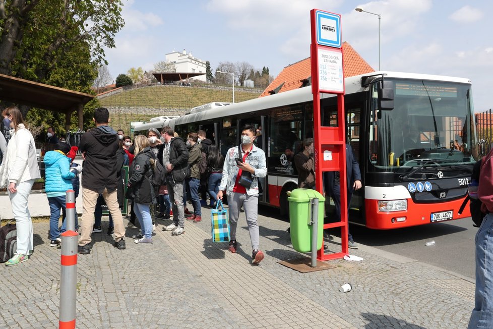 Takhle to v zoo vypadalo 24. dubna. Kapacita je jen 4000 lidí v jeden čas.