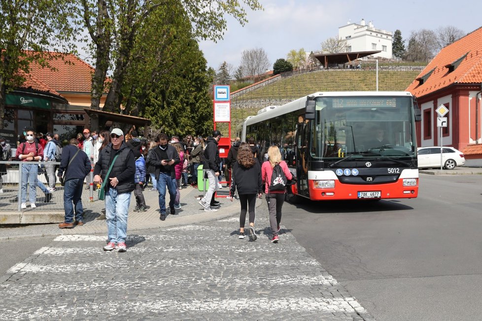 Slunečné počasí přilákalo tisíce lidí do pražské zoologické a botanické zahrady. Zoo dosáhla v jednu chvíli maximální povolené kapacity 4000 návštěvníků v jeden čas, proto musela na pár minut vstup do areálu zastavit, před vchody se tak vytvořily fronty. (24. dubna 2021)