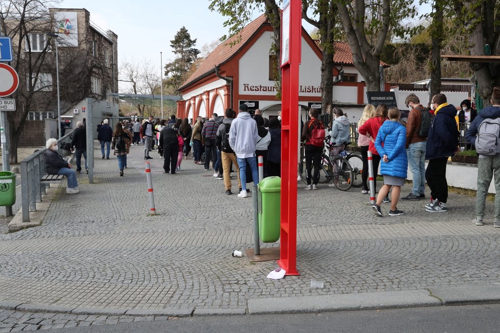 Slunečné počasí přilákalo tisíce lidí do pražské zoologické a botanické zahrady. Zoo dosáhla v jednu chvíli maximální povolené kapacity 4000 návštěvníků v jeden čas, proto musela na pár minut vstup do areálu zastavit, před vchody se tak vytvořily fronty. (24. dubna 2021)