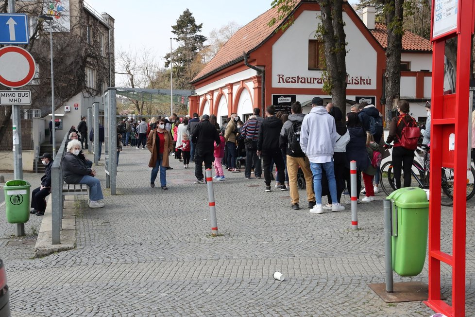  Slunečné počasí přilákalo tisíce lidí do pražské zoologické a botanické zahrady. Zoo dosáhla v jednu chvíli maximální povolené kapacity 4000 návštěvníků v jeden čas, proto musela na pár minut vstup do areálu zastavit, před vchody se tak vytvořily fronty. (24. dubna 2021)