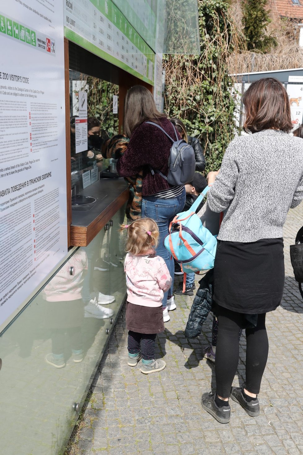 Slunečné počasí přilákalo tisíce lidí do pražské zoologické a botanické zahrady. Zoo dosáhla v jednu chvíli maximální povolené kapacity 4000 návštěvníků v jeden čas, proto musela na pár minut vstup do areálu zastavit, před vchody se tak vytvořily fronty. (24. dubna 2021)