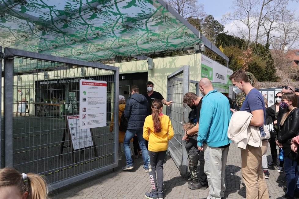 Slunečné počasí přilákalo tisíce lidí do pražské zoologické a botanické zahrady. Zoo dosáhla v jednu chvíli maximální povolené kapacity 4000 návštěvníků v jeden čas, proto musela na pár minut vstup do areálu zastavit, před vchody se tak vytvořily fronty. (24. dubna 2021)