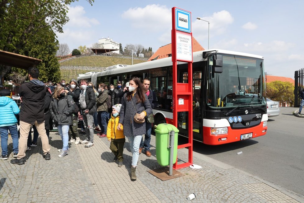 Takhle to v zoo vypadalo 24. dubna. Kapacita je jen 4000 lidí v jeden čas.