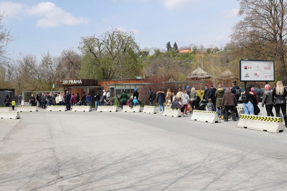  Slunečné počasí přilákalo tisíce lidí do pražské zoologické a botanické zahrady. Zoo dosáhla v jednu chvíli maximální povolené kapacity 4000 návštěvníků v jeden čas, proto musela na pár minut vstup do areálu zastavit, před vchody se tak vytvořily fronty. (24. dubna 2021)