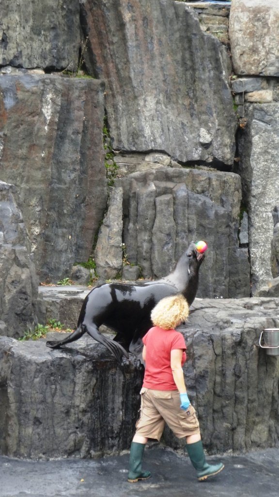 V pražské zoo se na začátku školního roku mohli diváci podívat, jak se učí zvířata.