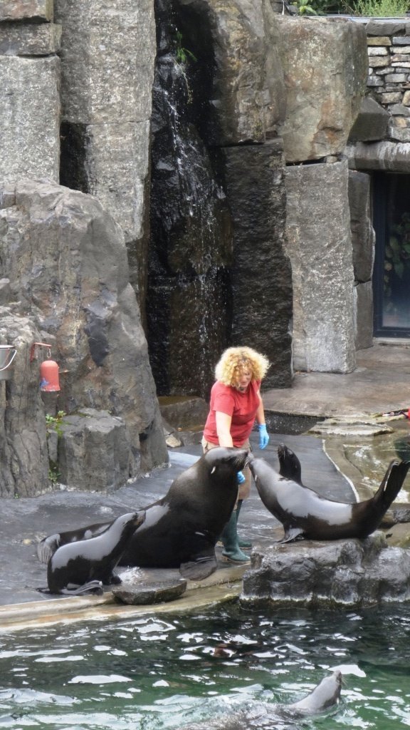 V pražské zoo se na začátku školního roku mohli diváci podívat, jak se učí zvířata.