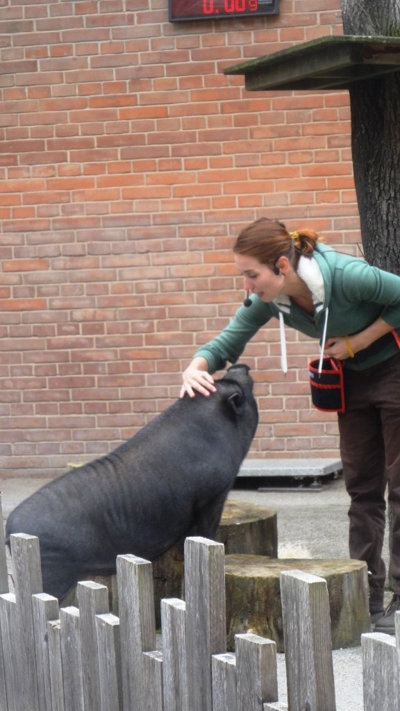 V pražské zoo se na začátku školního roku mohli diváci podívat, jak se učí zvířata.