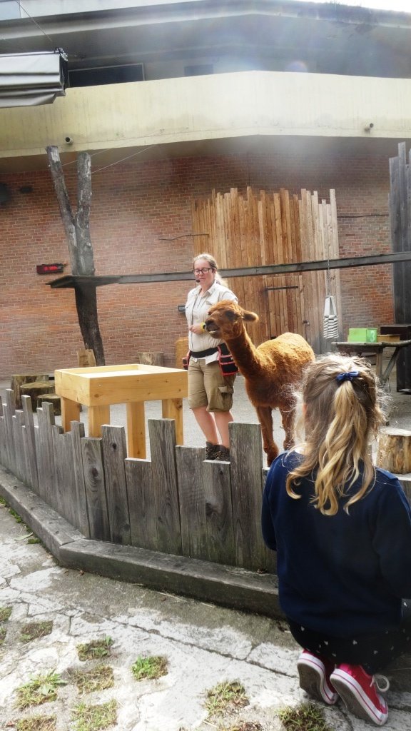 V pražské zoo se na začátku školního roku mohli diváci podívat, jak se učí zvířata.