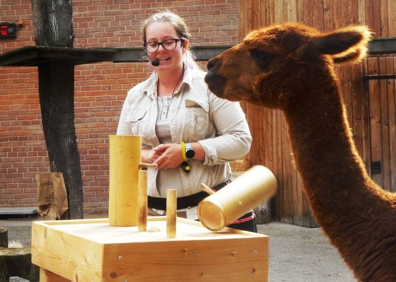 V pražské zoo se na začátku školního roku mohli diváci podívat, jak se učí zvířata.